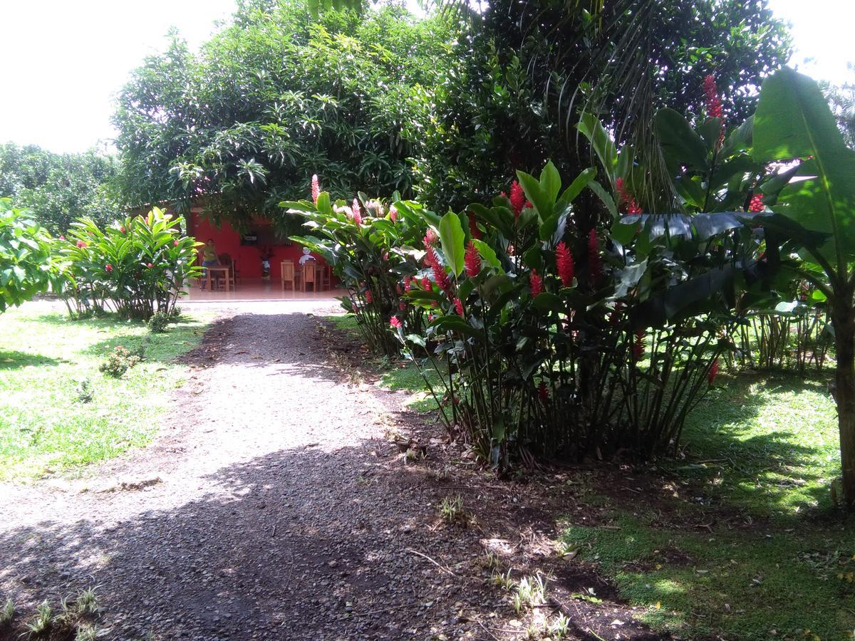 Paraiso Volcano Lodge Guayabo  Eksteriør bilde