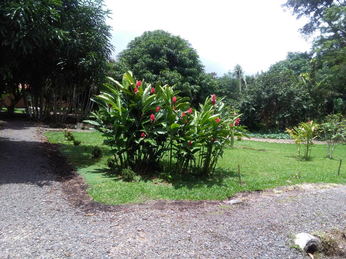 Paraiso Volcano Lodge Guayabo  Eksteriør bilde