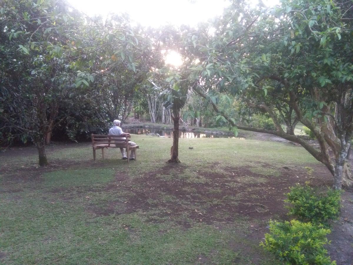 Paraiso Volcano Lodge Guayabo  Eksteriør bilde