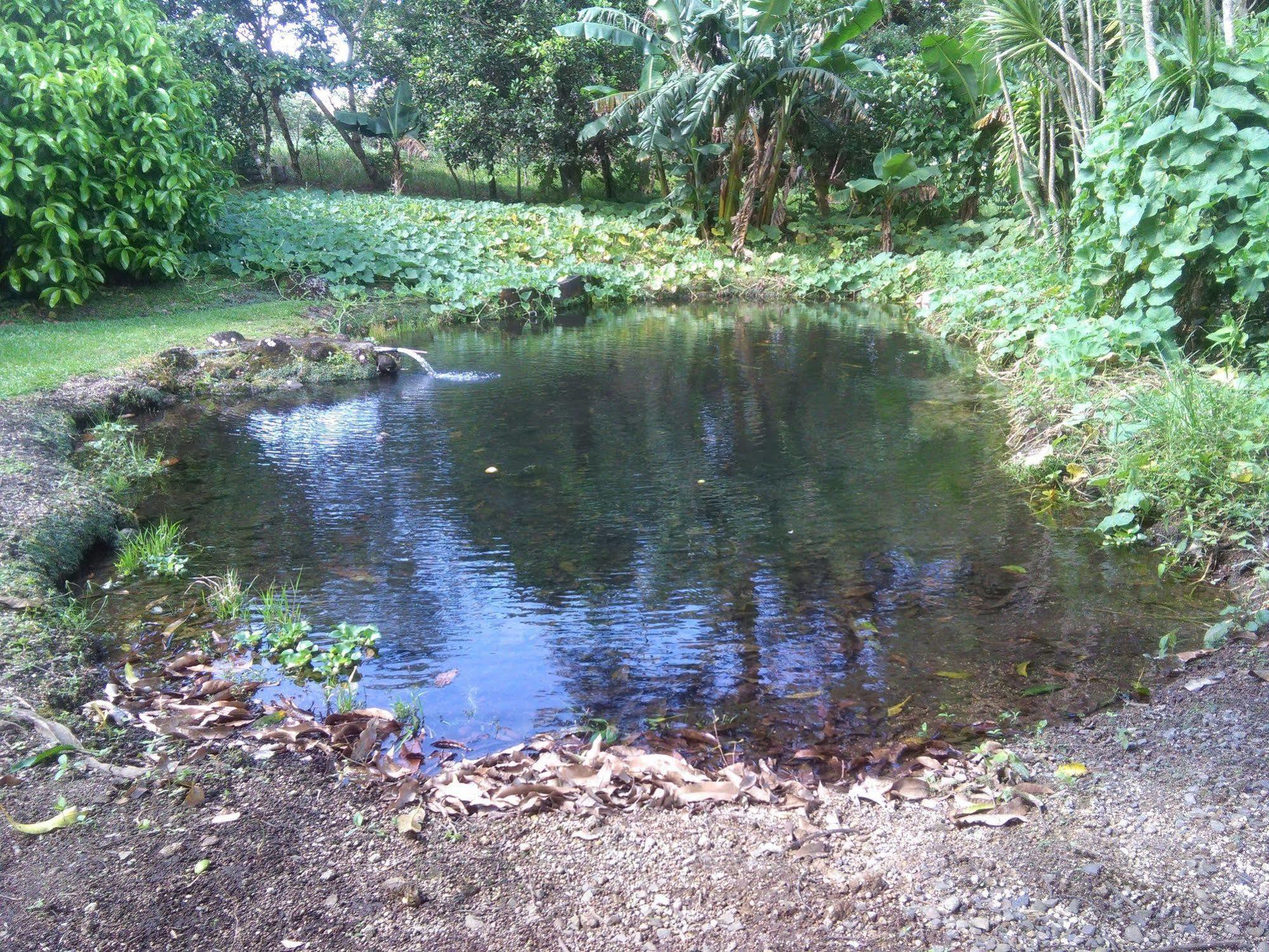 Paraiso Volcano Lodge Guayabo  Eksteriør bilde