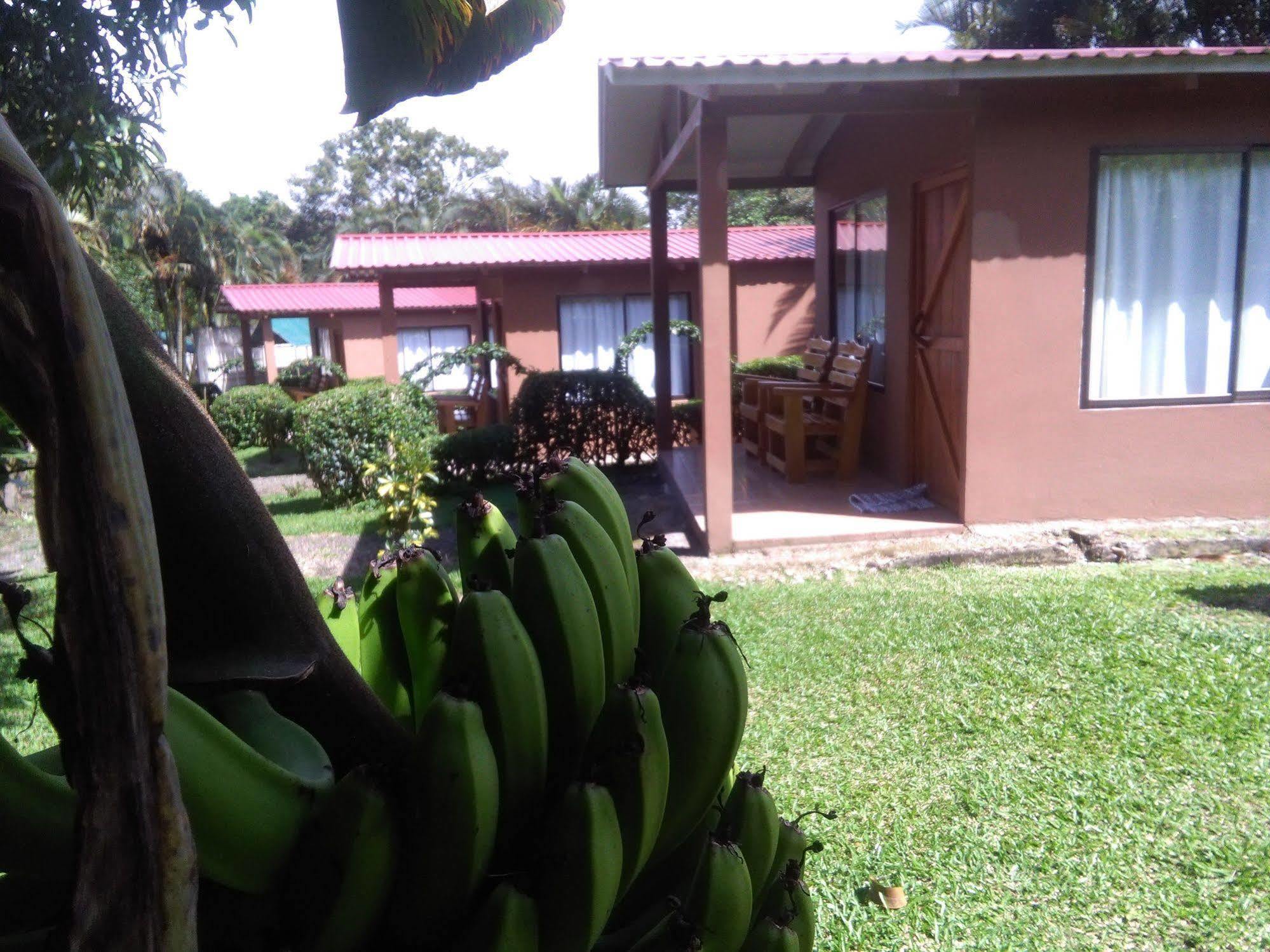 Paraiso Volcano Lodge Guayabo  Eksteriør bilde